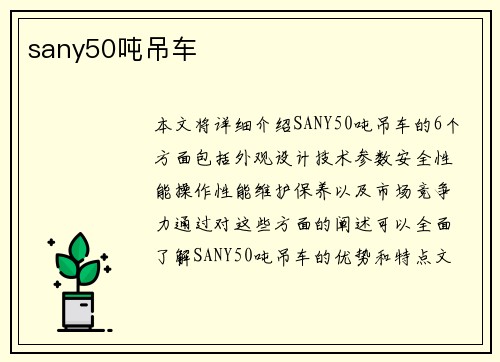 sany50吨吊车