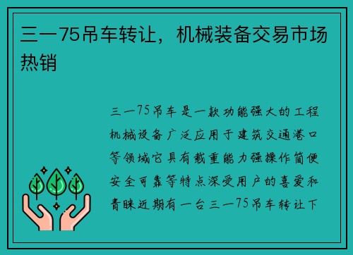 三一75吊车转让，机械装备交易市场热销