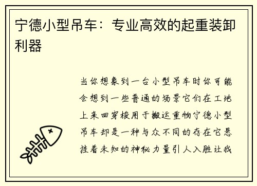 宁德小型吊车：专业高效的起重装卸利器