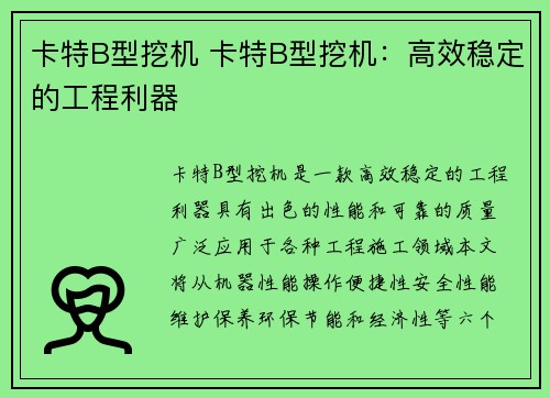 卡特B型挖机 卡特B型挖机：高效稳定的工程利器